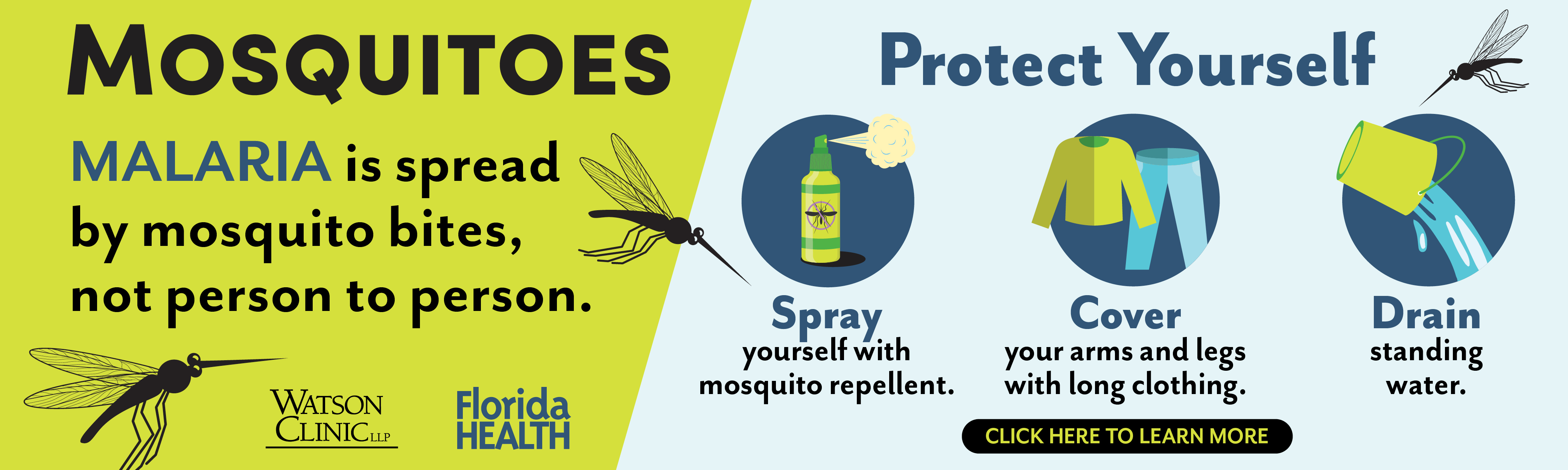 Mosquito